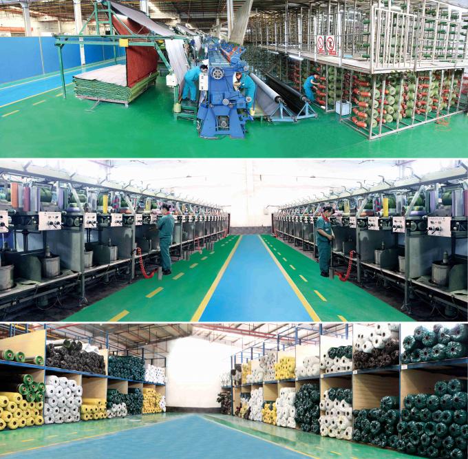 All Victory Grass (Guangzhou) Co., Ltd fabrika üretim hattı 1