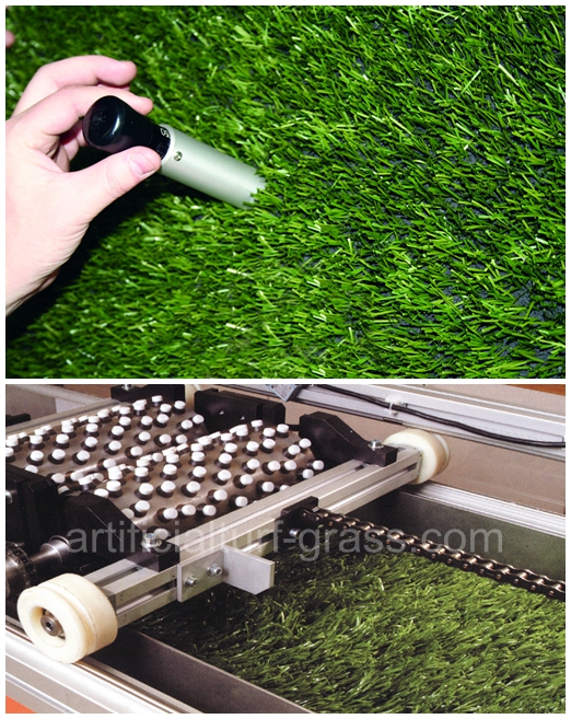 All Victory Grass (Guangzhou) Co., Ltd kalite kontrol 0