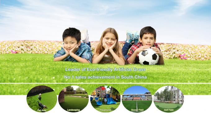 Çin All Victory Grass (Guangzhou) Co., Ltd şirket Profili 1