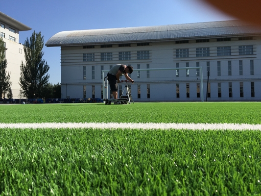 Çin Yüksek Yoğunluklu gazon Futbol Çim Sentetik Futbol Çim çim yapay 55mm Tedarikçi