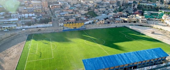 Çin Gerçekçi Görünüm 60mm Yükseklik Yapay Futbol Çim Monofilament Yapısı Tedarikçi