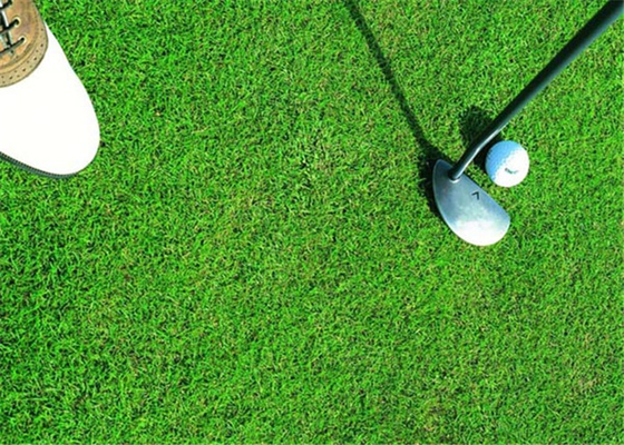 Çin Sağlıklı Golf Suni Çim, Sentetik Golf Çim Uzun Ömür Beklentisi Tedarikçi