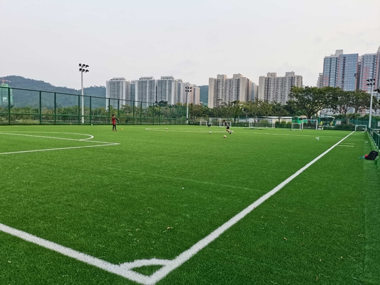 Çin Fabrika Fiyat 55mm ile Meslek Cesped Suni Çim Futbol Çim Tedarikçi