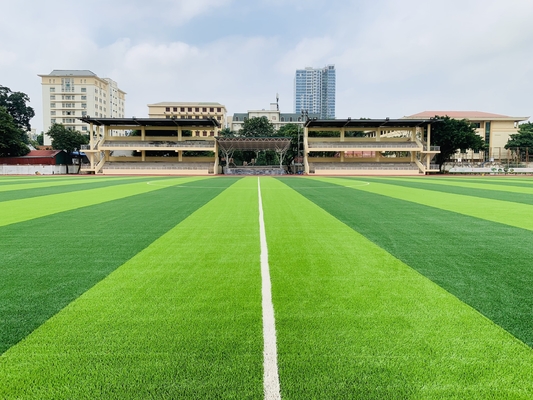 Çin Futbol Futbol Sahası için 55mm Suni Çim Spor Zemin Tedarikçi