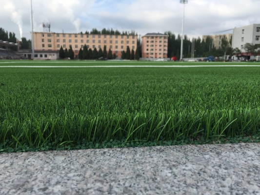 Çin Futbol Sahası İçin Dokuma Destekli Futbol Çim Çim Aritificial Tedarikçi
