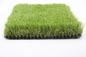 Çim Dekoratif Halı Plastik Çim Bahçe Peyzaj Çim 25mm Tedarikçi