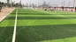 Quality Pro Onaylı Futbol Sentetik Çim Suni Çim ve Spor Zemin Kaplaması 55mm Tedarikçi