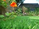 Dekorasyon için Yeşil Geri Dönüşümlü Bahçe Suni Çim, Ev Suni Çim Tedarikçi