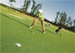 Golf Yeşil, Golf Sahte Çim İçin Kıvırcık Yüksek Yoğunluklu Suni Çim Tedarikçi