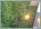Ev Bahçe Peyzaj Dekorasyonu için Elma Yeşil S Şekilli Kapalı Sentetik Çim Tedarikçi