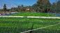 Futbol Sahası İçin Uv Dayanıklı Yeşil 50mm Suni Çim Tedarikçi