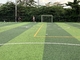 Futbol Sahası Sahte Çim Çim Eşsiz Elmas İhale Yeşil Renk Tedarikçi