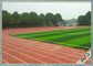 No Heavy Metals PP Woven Fabric Football Artificial Grass 13000 Dtex For Futsal Tedarikçi