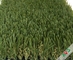 Heavy Traffic Park Artificial Grass Outdoor Carpet / Synthetic Lawn Grass Tedarikçi